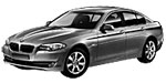BMW F10 P178E Fault Code